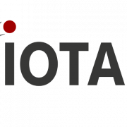 Business Developer